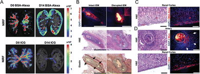 image file: d6cc01050d-f7.tif