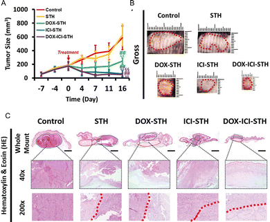 image file: d6cc01050d-f8.tif