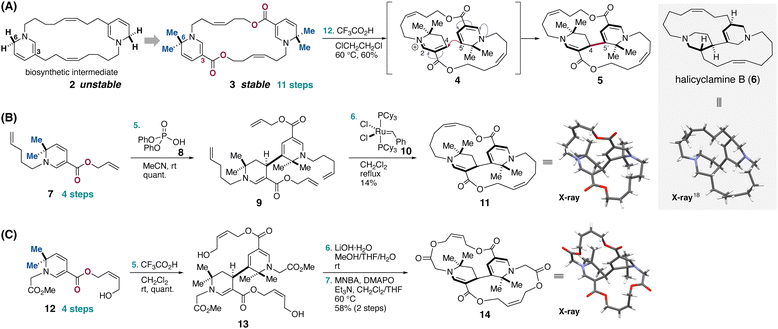image file: d6cc01052k-s1.tif