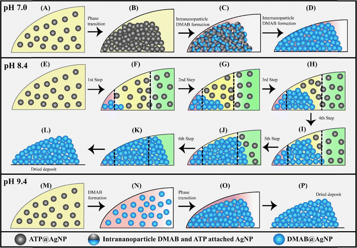 image file: d6cc01128d-f10.tif
