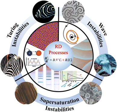 image file: d5ce00589b-f1.tif