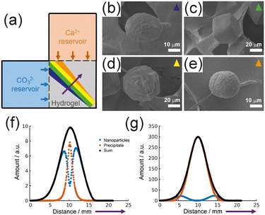 image file: d5ce00589b-f9.tif