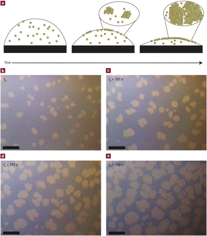 image file: d5ce00759c-f10.tif