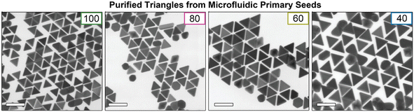 image file: d5ce00759c-f8.tif