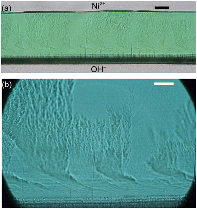 image file: d5ce00985e-f13.tif