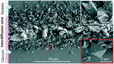 image file: d5ce00985e-f6.tif