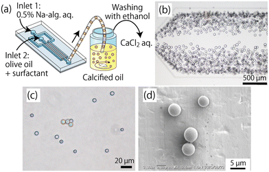 image file: d5ce00985e-f7.tif