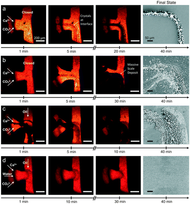 image file: d5ce00985e-f8.tif