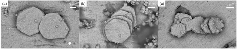 image file: d5ce01031d-f11.tif