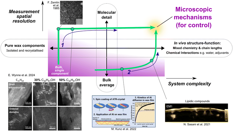 image file: d5ce01041a-f1.tif