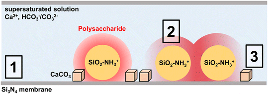 image file: d6ce00012f-f6.tif