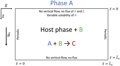 image file: d5cp02090e-f1.tif
