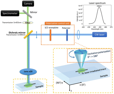 image file: d5cp02244d-f2.tif