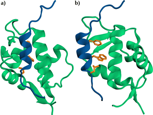 image file: d5cp02358k-f1.tif