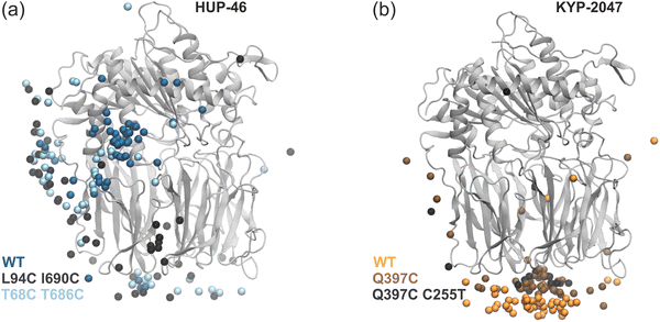 image file: d5cp02804c-f3.tif