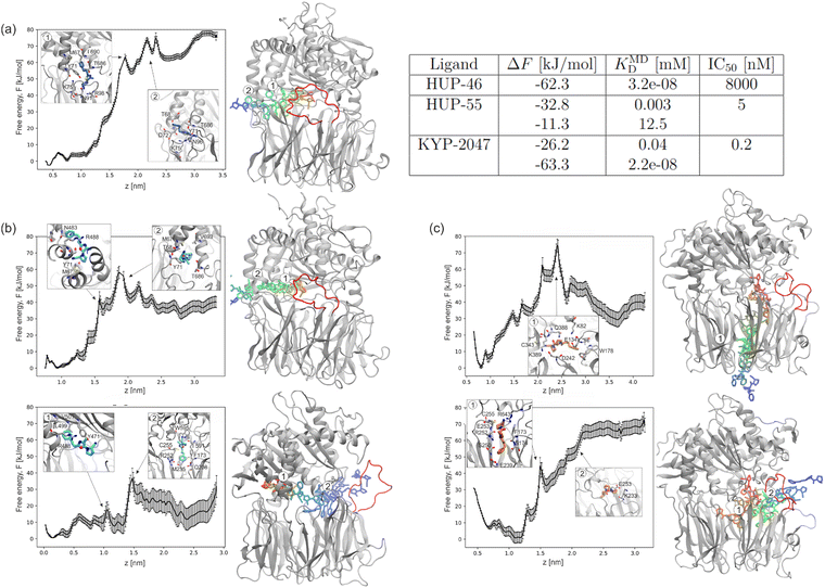 image file: d5cp02804c-f4.tif