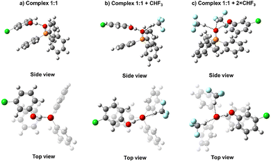 image file: d5cp03320a-f5.tif