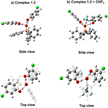 image file: d5cp03320a-f6.tif