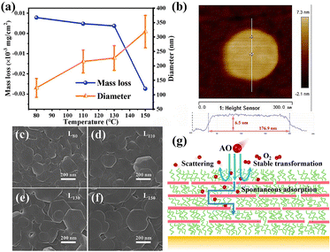 image file: d5cp03344f-f6.tif