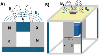 image file: d5cp03347k-f1.tif