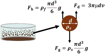 image file: d5cp03347k-f7.tif