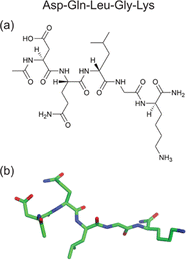 image file: d5cp03354c-f1.tif