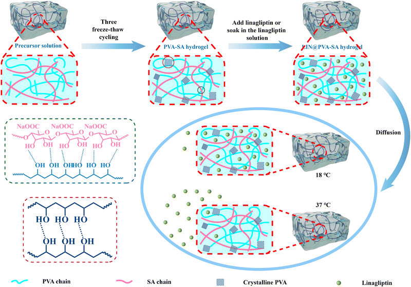 image file: d5cp03379a-f1.tif