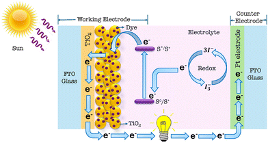 image file: d5cp03388h-f1.tif