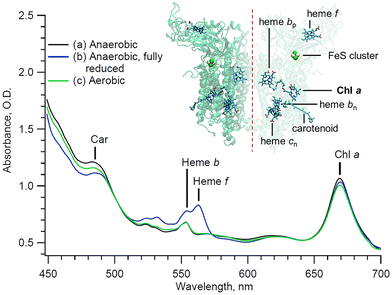 image file: d5cp03433g-f1.tif