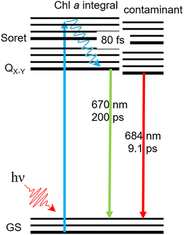 image file: d5cp03433g-f5.tif