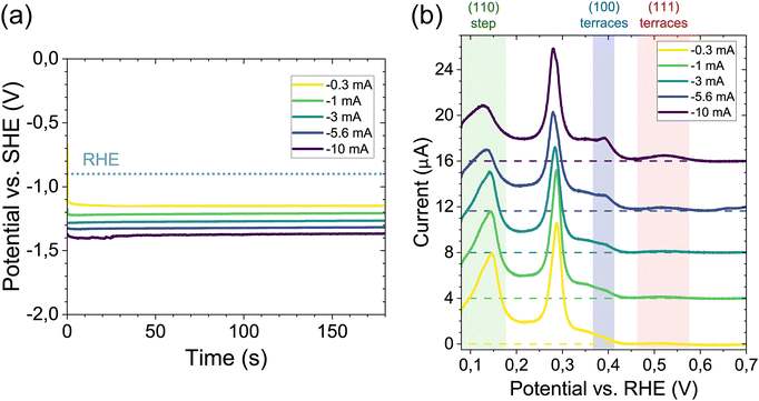 image file: d5cp03483c-f1.tif