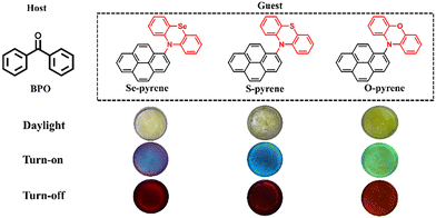 image file: d5cp03599f-f2.tif