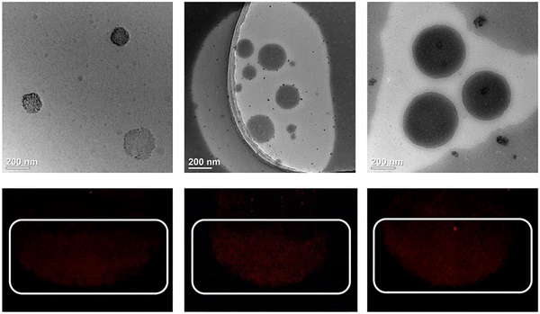 image file: d5cp03599f-f5.tif