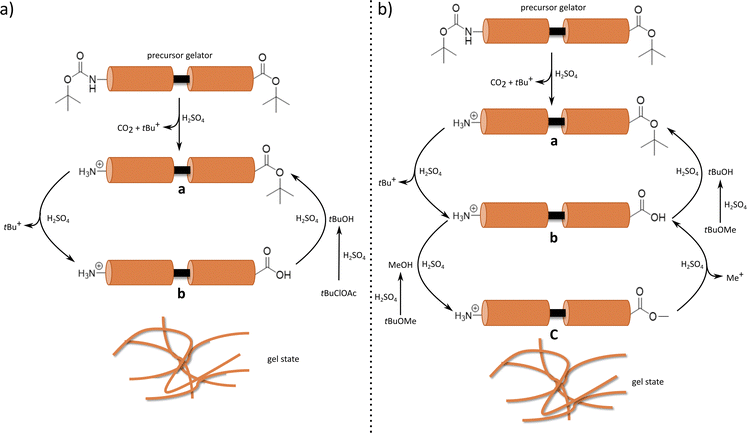 image file: d5cp03810c-s2.tif
