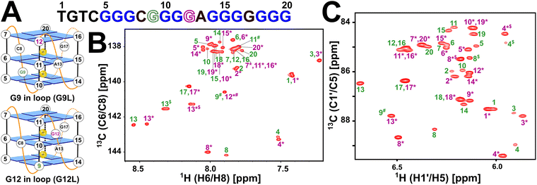 image file: d5cp03909f-f2.tif