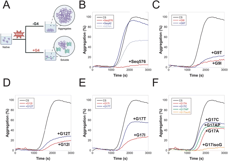 image file: d5cp03909f-f3.tif