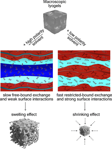 image file: d5cp04032a-f10.tif