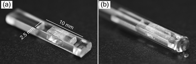 image file: d5cp04032a-f2.tif