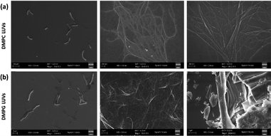 image file: d5cp04060d-f4.tif