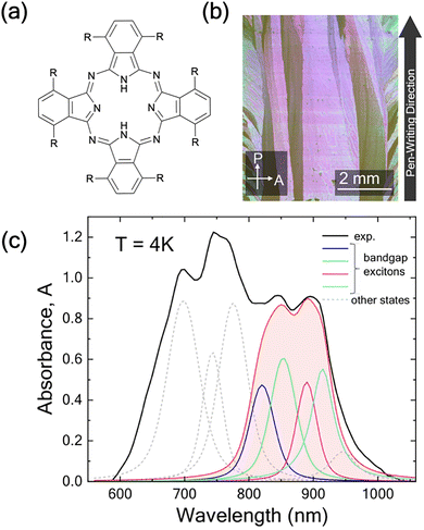 image file: d5cp04079e-f1.tif