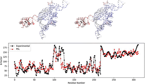 image file: d5cp04098a-f3.tif