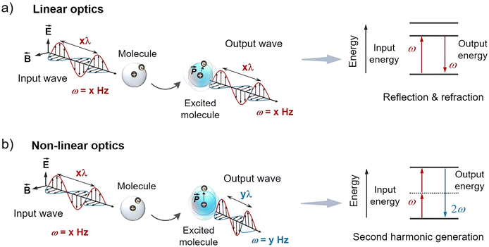 image file: d5cp04142b-f2.tif