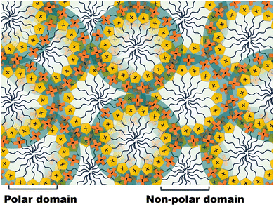 image file: d5cp04142b-f3.tif