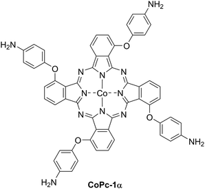 image file: d5cp04205d-f1.tif