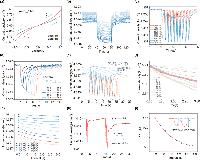 image file: d5cp04283f-f3.tif