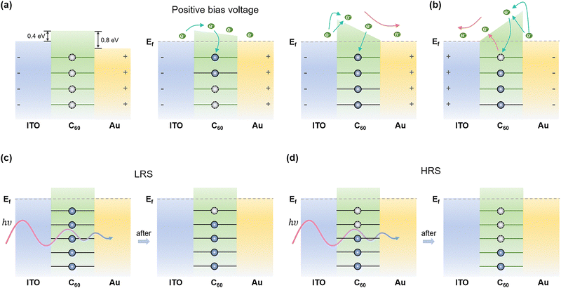 image file: d5cp04283f-f4.tif