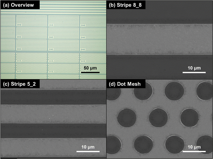image file: d5cp04347f-f2.tif