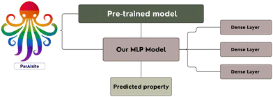 image file: d5cp04401d-f2.tif