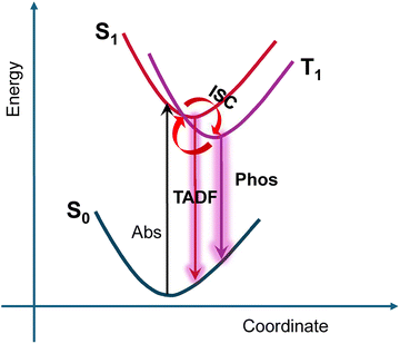 image file: d5cp04426j-s1.tif
