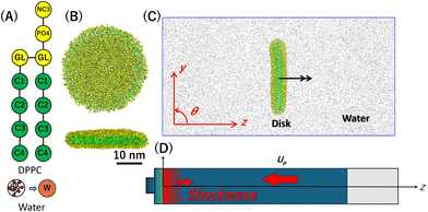 image file: d5cp04439a-f1.tif